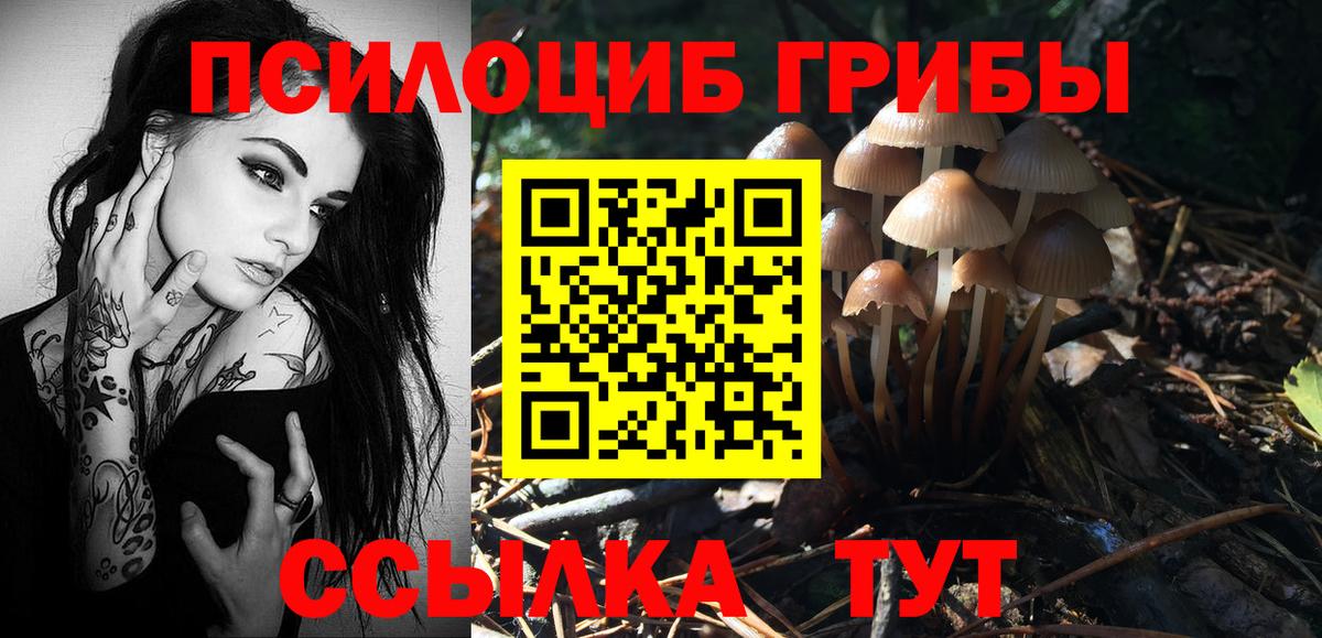 Чита  Псилоцибиновые грибы Psilocybine cubensis  магазин продажи   Псилоцибиновые грибы ЛСД  Вход с VPN 